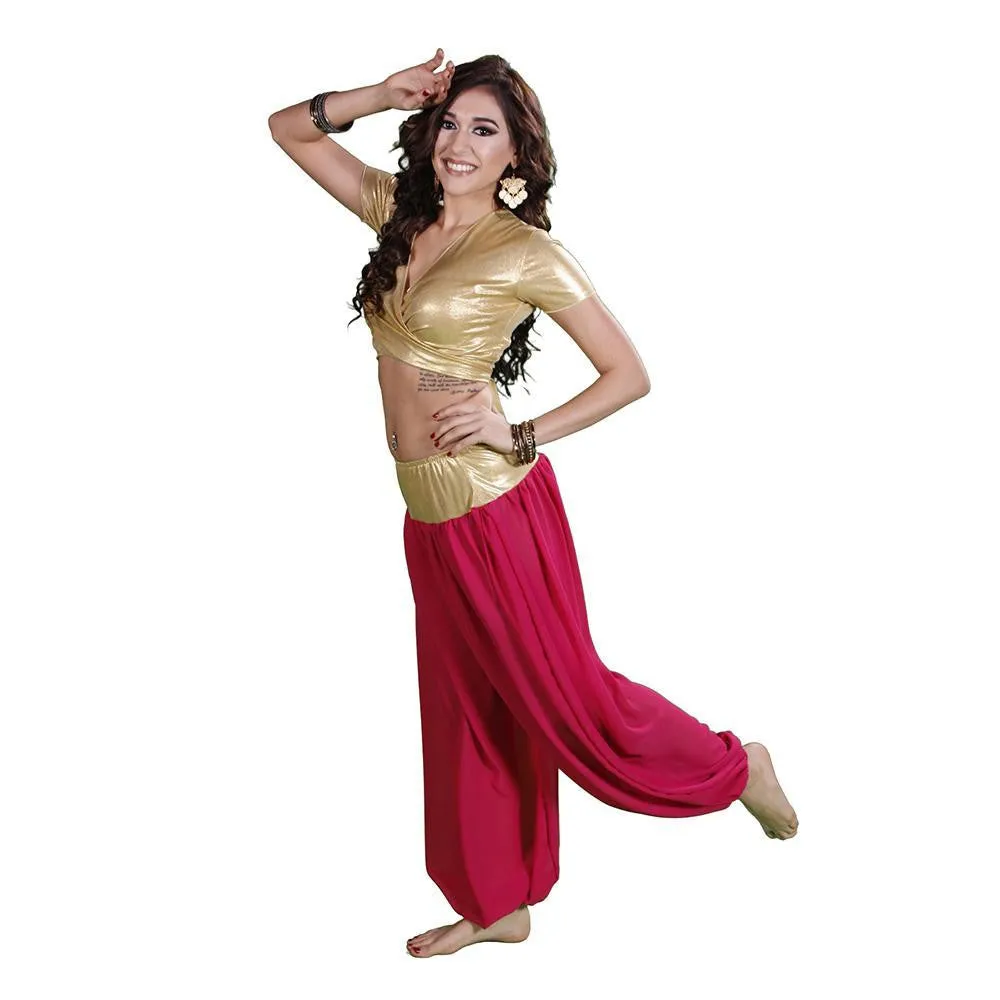 Belly Dance Lycra Choli Top With Chiffon Harem Pants Costume Set |