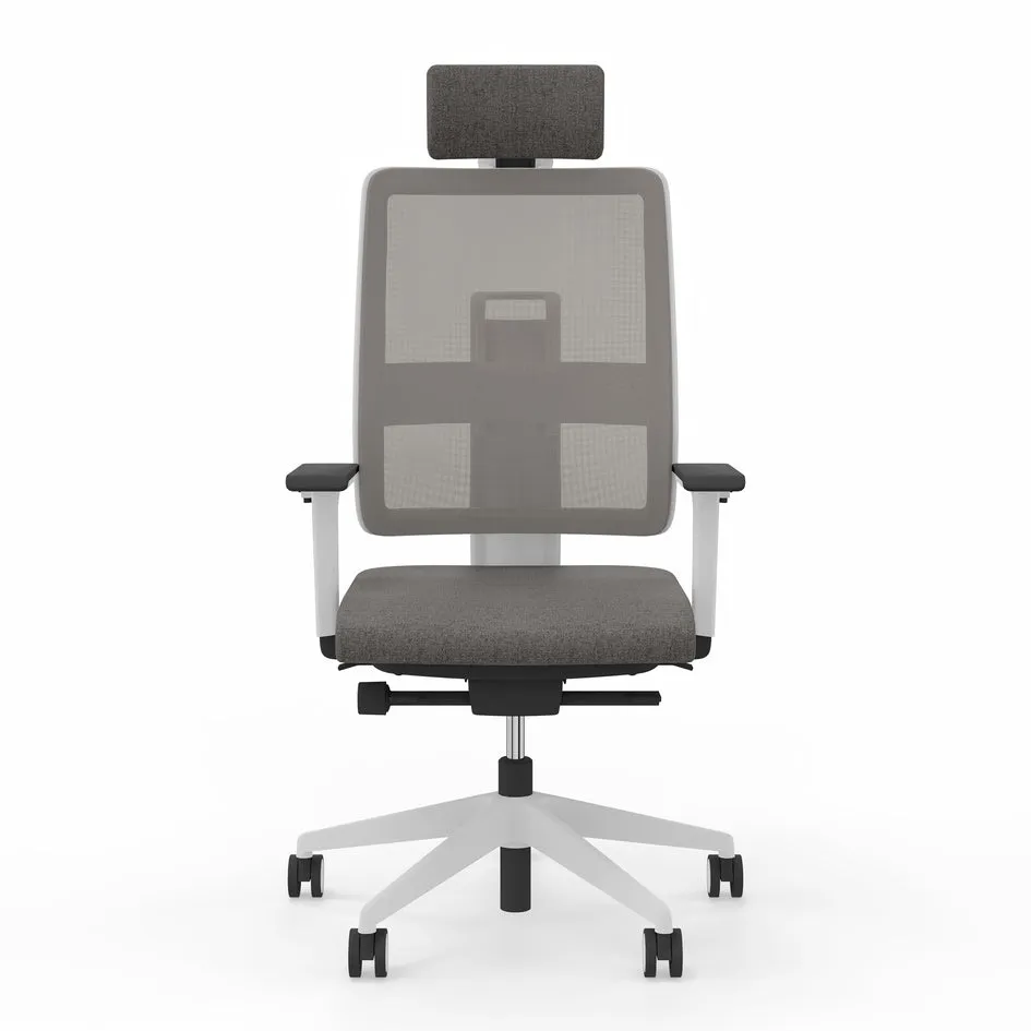 Viasit Toleo Mesh-Back Ergonomic Chair