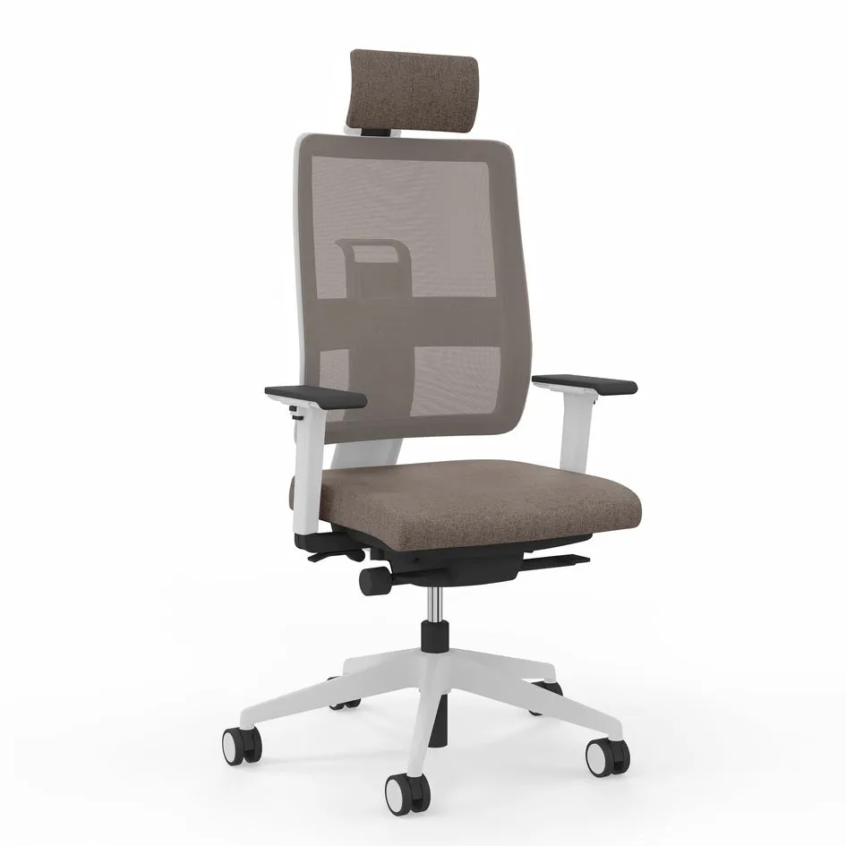 Viasit Toleo Mesh-Back Ergonomic Chair