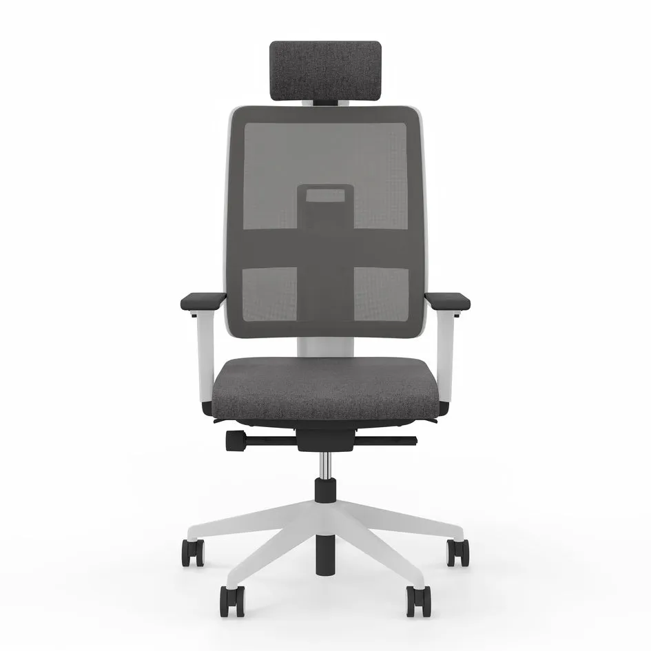 Viasit Toleo Mesh-Back Ergonomic Chair