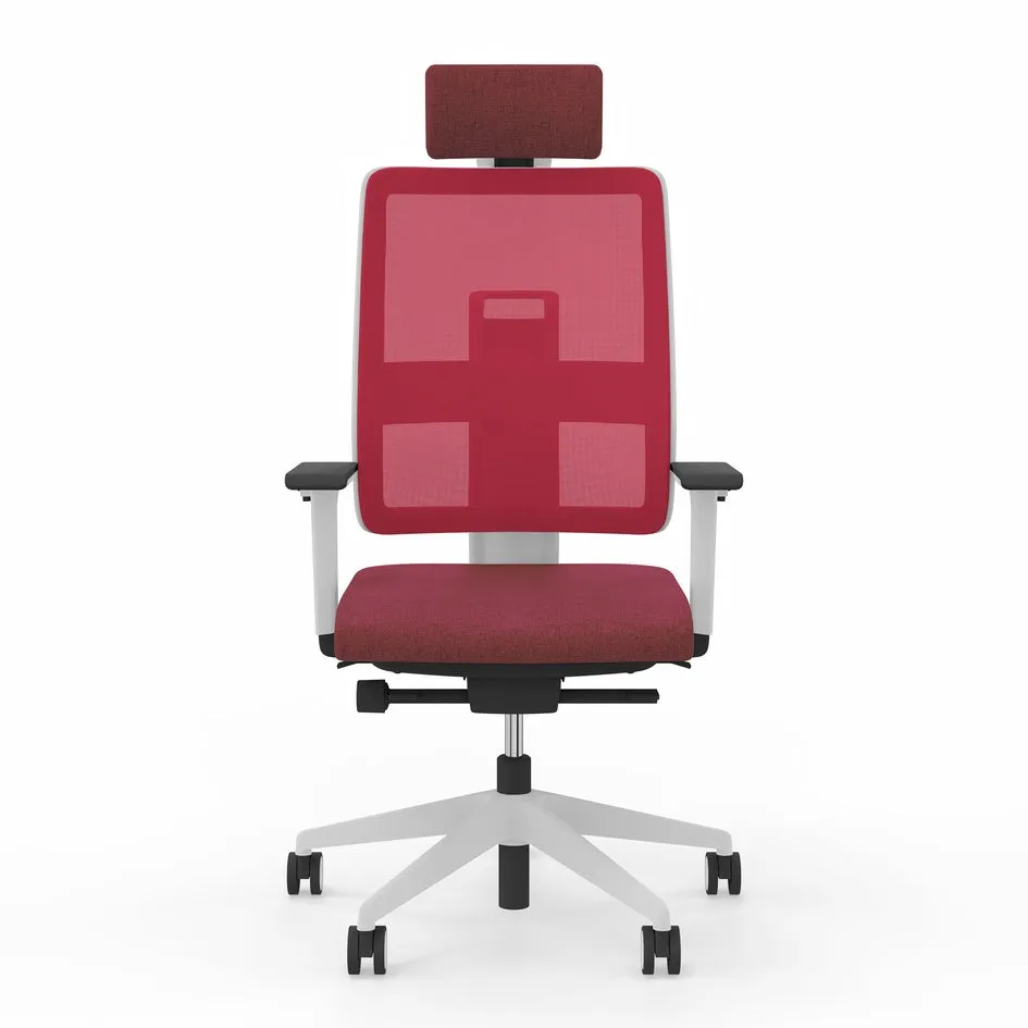 Viasit Toleo Mesh-Back Ergonomic Chair