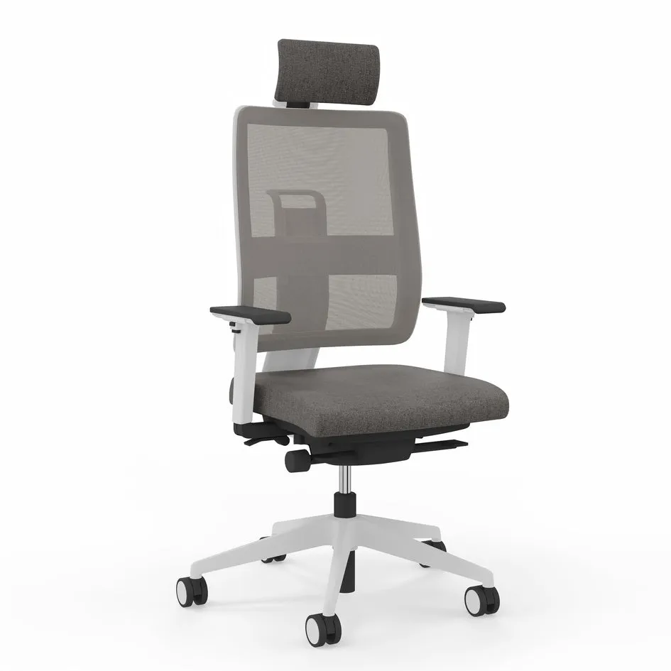 Viasit Toleo Mesh-Back Ergonomic Chair