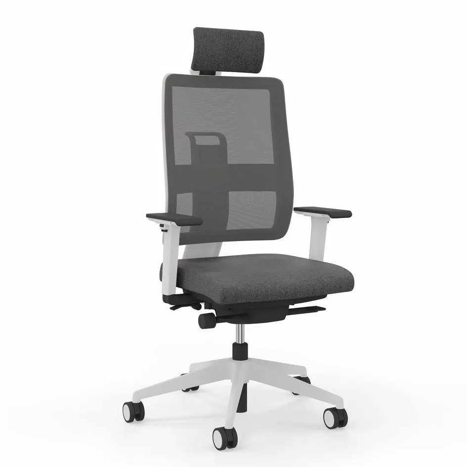 Viasit Toleo Mesh-Back Ergonomic Chair