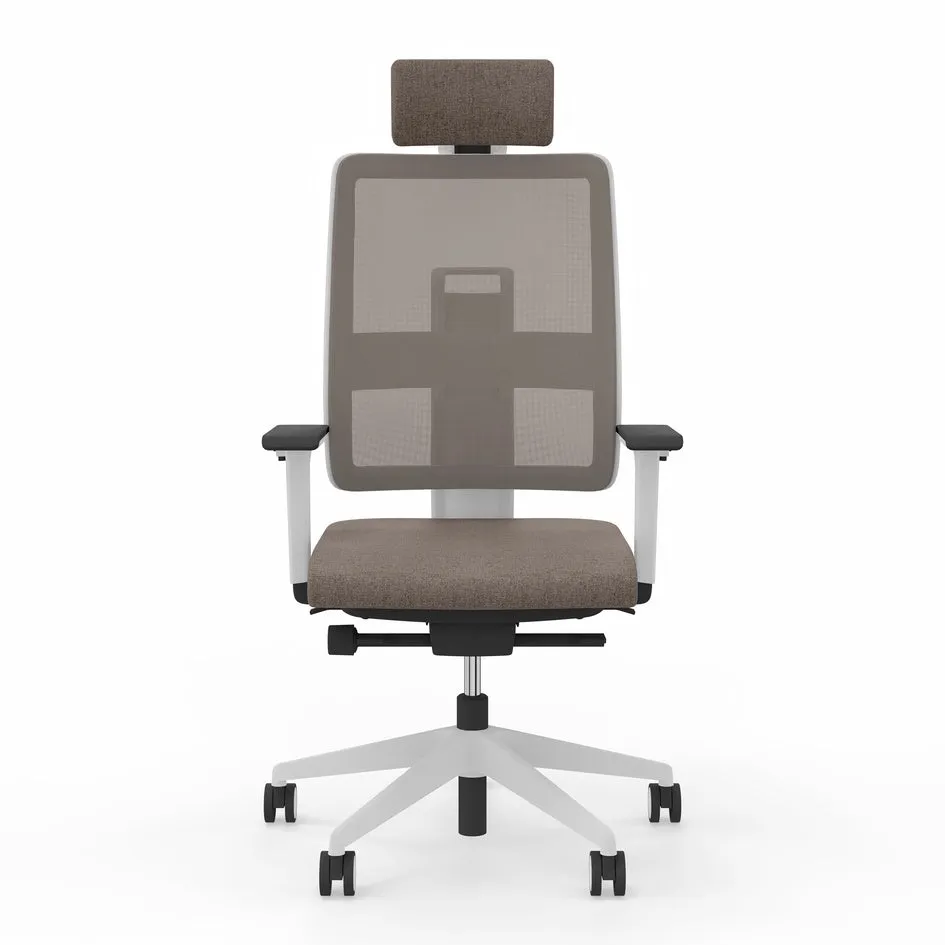 Viasit Toleo Mesh-Back Ergonomic Chair