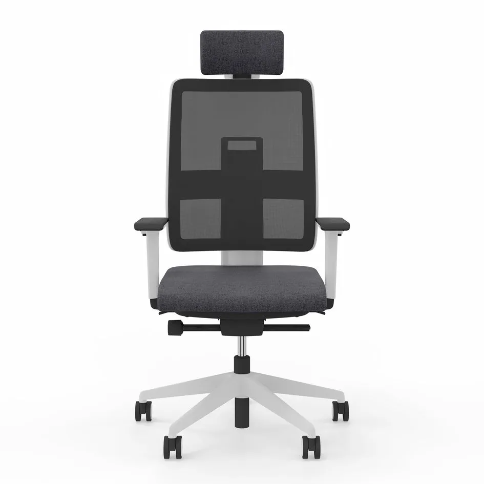 Viasit Toleo Mesh-Back Ergonomic Chair